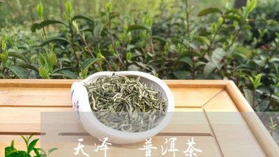 天泽 普洱茶/2023042725921